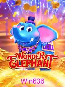 WonderElephant